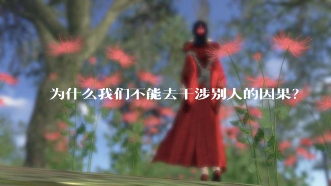 为什么我们不能去干涉别人的因果？